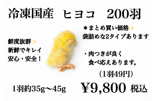 冷凍国産　 新鮮な　ヒヨコ　200羽、230羽　まとめ買い