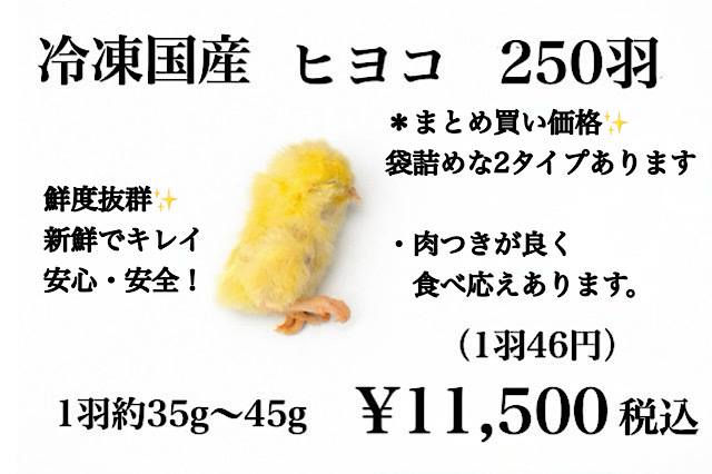 冷凍国産　新鮮な　ヒヨコ　250羽～510羽　まとめ買い