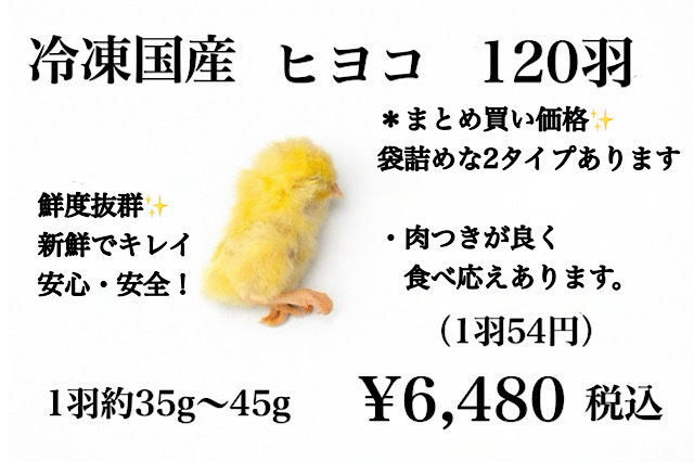 送料無料　冷凍ヒヨコ200羽 冷凍国産 ヒヨコ 100羽 120羽 130羽 150羽