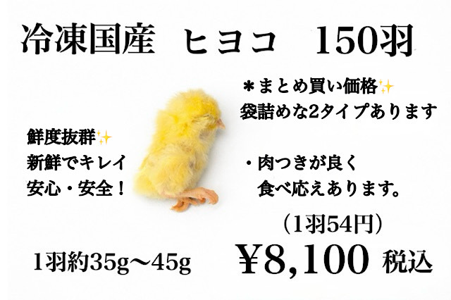 リピート購入、複数購入で＋10羽 送料無料 国産 新鮮安全 冷凍ひよこ 300羽 リピート購入、複数購入で＋10羽 送料無料 国産 新鮮安全 冷凍ひよこ