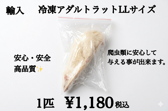 冷凍　アダルトラット　ＬＬサイズ　1匹約246ｇ～約276ｇ