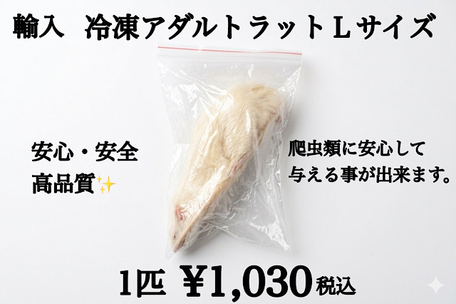 冷凍　アダルトラットＬサイズ　1匹約185ｇ～約216ｇ