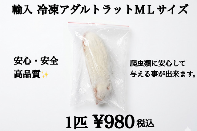 冷凍　アダルトラットＭＬサイズ　1匹約156ｇ～約177ｇ