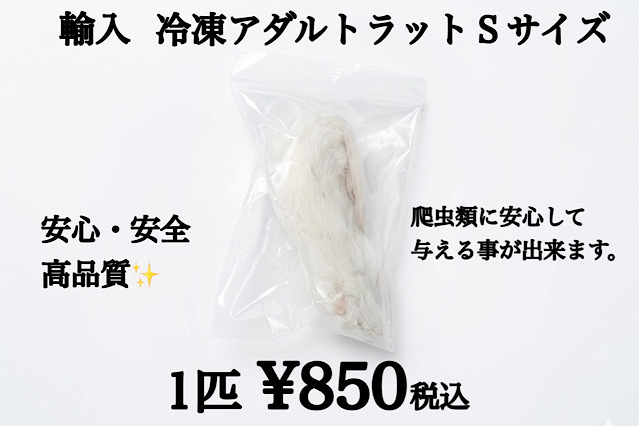 冷凍　アダルトラット　Ｓサイズ　70g～81ｇ