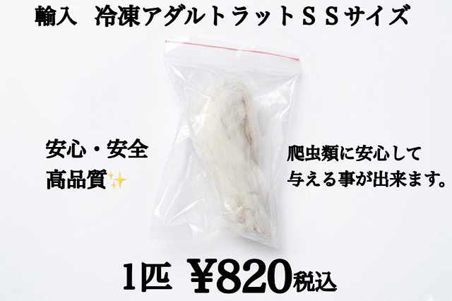 冷凍　アダルトラット　SSサイズ　約42ｇ～50ｇ