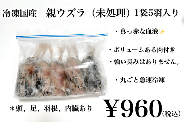 冷凍　親うずら　未処理100羽入　数量限定　残5箱 71sm5YZkR8L._UF350,350_QL50_.jpg
