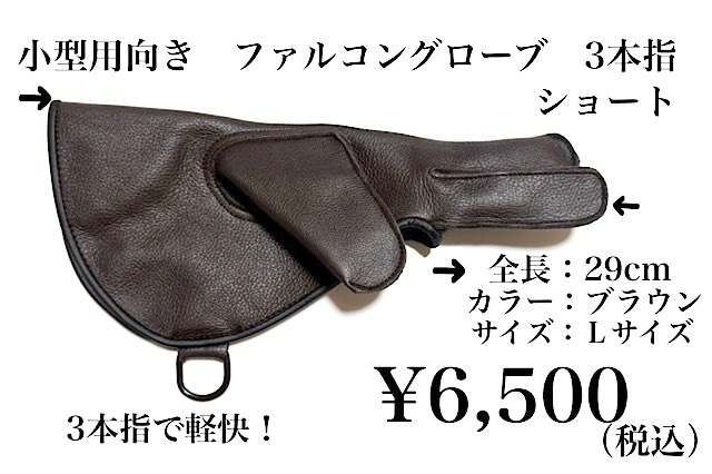 猛禽　グローブ 楽天市場】【子供用】猛禽用ファルコングローブ【フリーサイズ