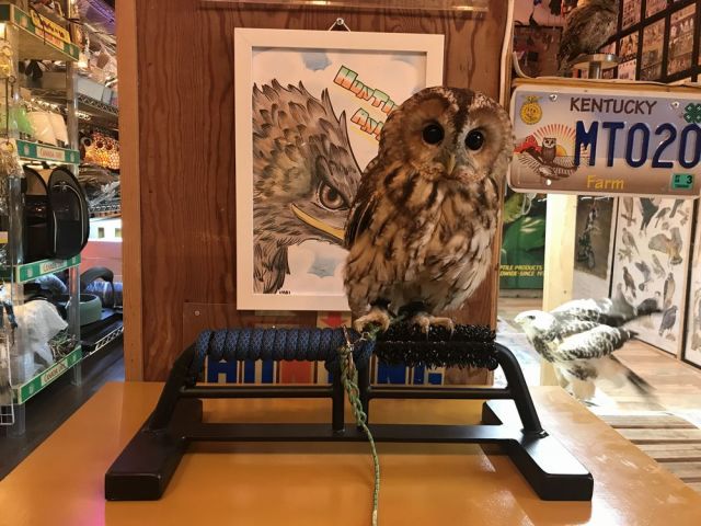 鉄製 OWLパーチ 半ロープ仕様 Sサイズ