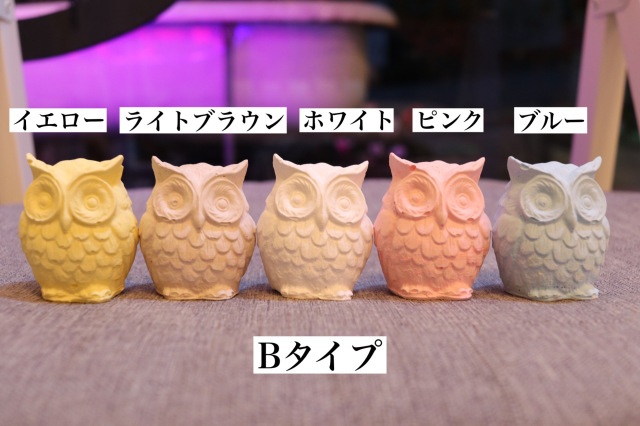 No.744 アロマストーン✩.*幸せを呼ぶフクロウとフラワープレート No.744 アロマストーン✩.*幸せを呼ぶフクロウとフラワー