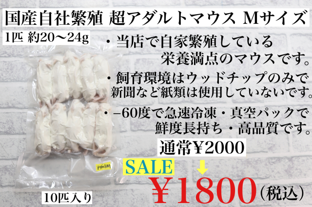 冷凍国産　鮮度最高級　アダルトマウスＭサイズ　10匹入り