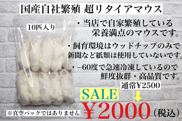 鮮度最高級　冷凍国産　リタイアマウス　10匹入り