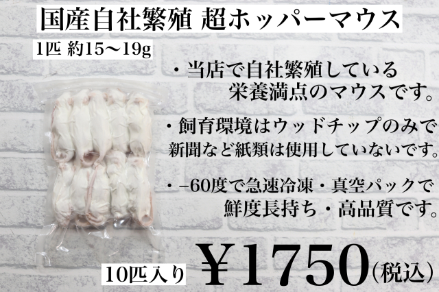 冷凍国産　鮮度最高級　ホッパーマウス　10匹入り　1匹約15g~18g