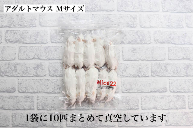 ✨初出品限定✨ 3名様特価 ✨冷凍ヤワゲネズミ ラット マウス【真空パック保存】 Amazon | ZAZOO 冷凍マウス アダルトLL 10匹 35.1〜40g 約9.5cm