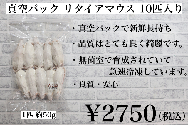 ✨初出品限定✨ 3名様特価 ✨冷凍ヤワゲネズミ ラット マウス【真空パック保存】 冷凍 真空パック マウス 全4種類 10匹入り