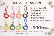 ザイルリーシュ　SSサイズ