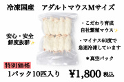 冷凍国産　鮮度最高級　アダルトマウスＭサイズ　10匹入り