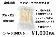鮮度最高級　冷凍国産　ファジーマウスＭサイズ　10匹入り