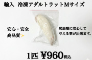 冷凍　アダルトラットＭサイズ　1匹約100ｇ～125ｇ