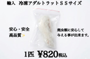 冷凍　アダルトラット　SSサイズ　約42ｇ～50ｇ