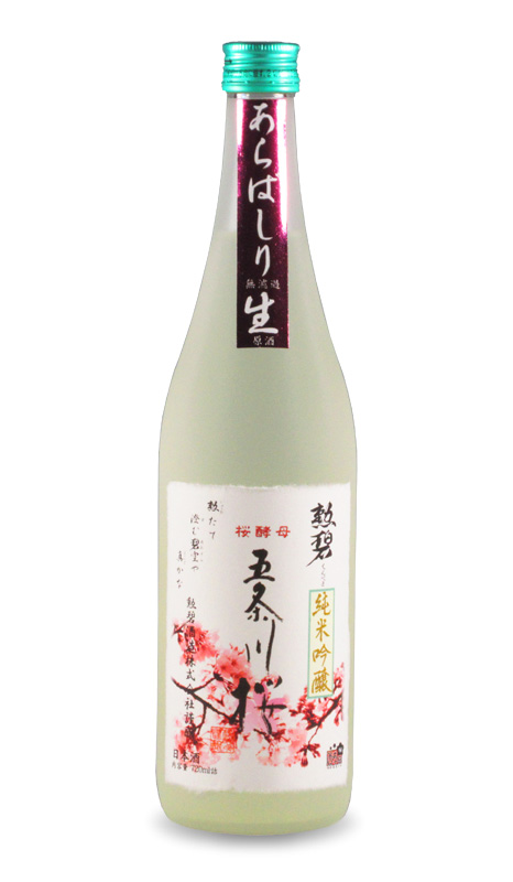 五条川桜720