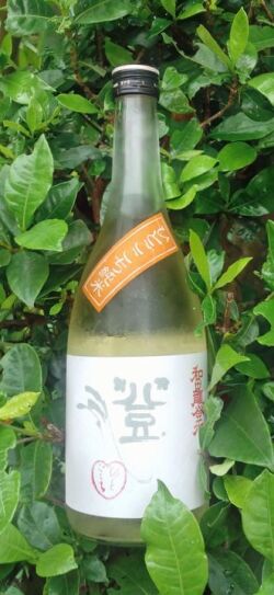 和田龍登水ひとごこち7201