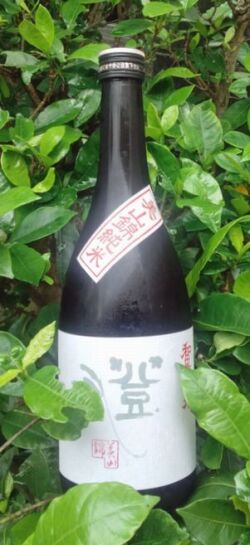 和田龍登水美山錦7201