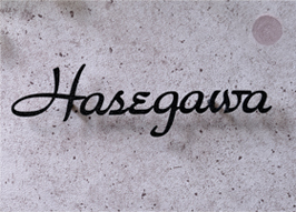 アイアン表札（切文字軽量タイプ） シンプル シンプルでモダンなエントラスになります