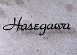 アイアン表札（切文字軽量タイプ） シンプル シンプルでモダンなエントラスになります