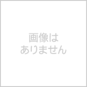 表札オプション 【 追加料金 】 化粧ビス 2個入り