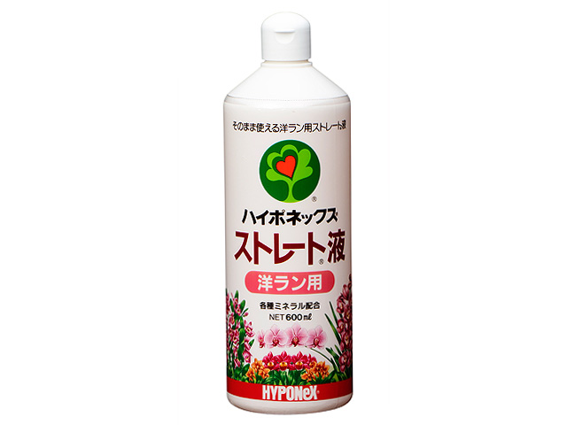 ストレート液 洋ラン用 600ml