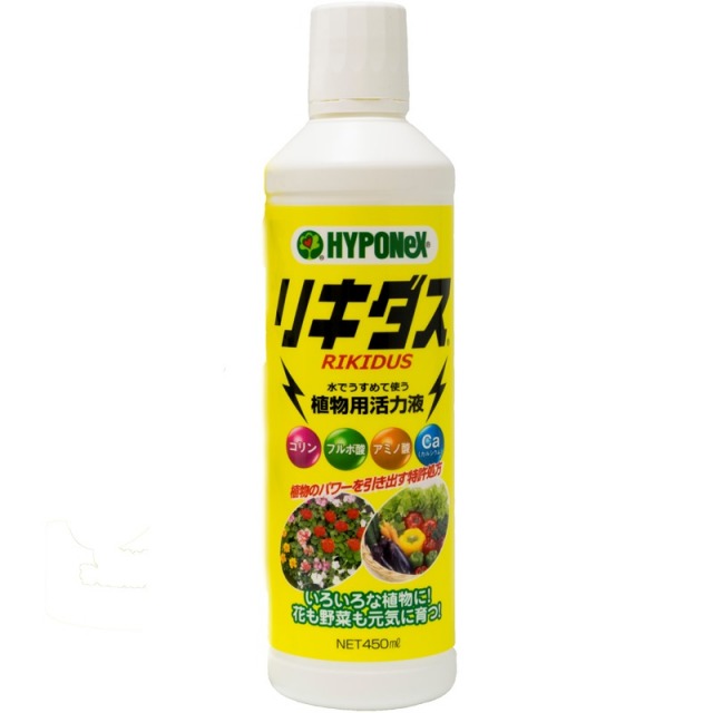 リキダス本体