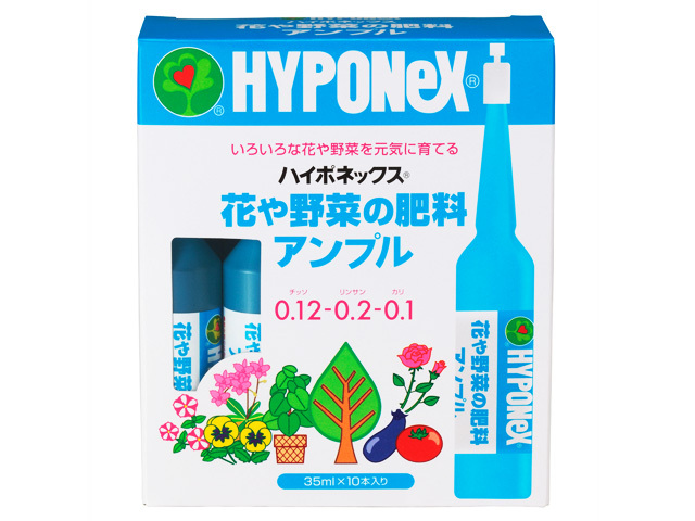野菜 ハーブ