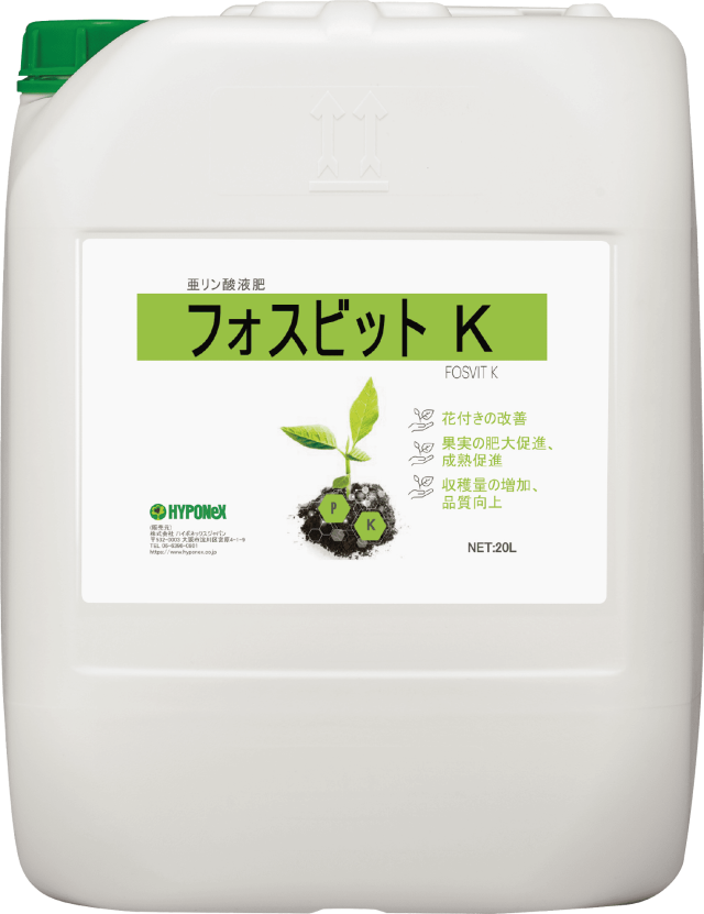 フォスビット(最新)