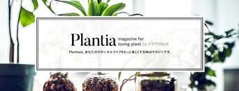 スマホ用plantiaバナー