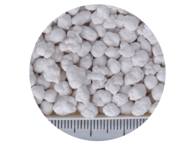 マグァンプｋ大粒