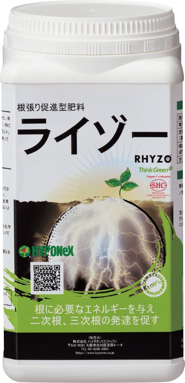 ライゾー（最新）
