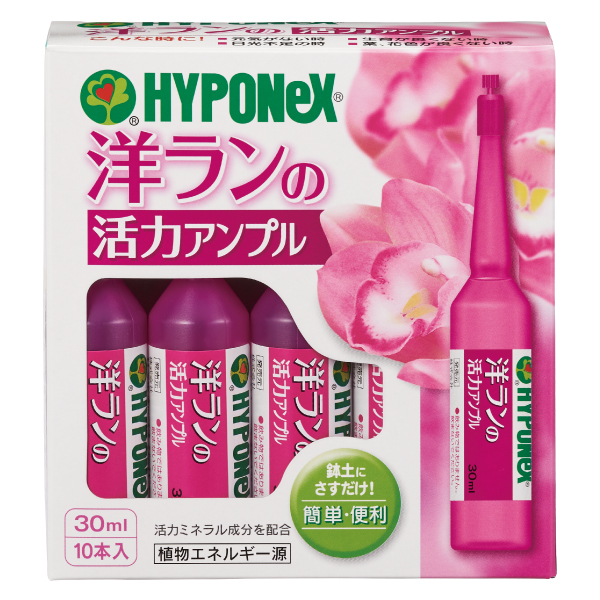 洋ﾗﾝの活力ｱﾝﾌﾟﾙ30ml×10本入