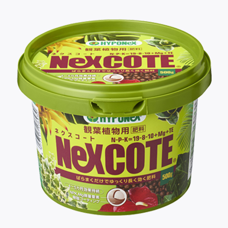ネクスコート 観葉植物用