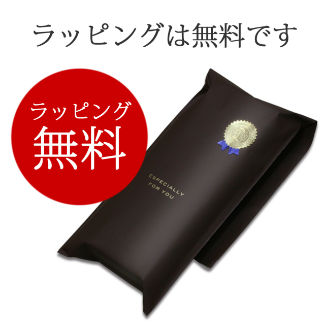 プラチナ万年筆 名入れ #3776 センチュリー コンバーター付属 or