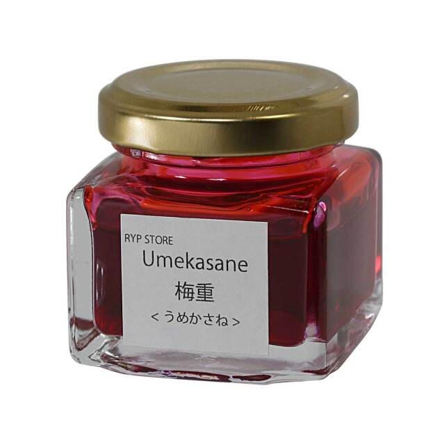 【即納可能】ペンスタ磐田オリジナルボトルインク 梅重：うめかさね