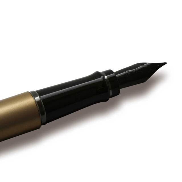 ウォーターマン（WATERMAN） 万年筆エキスパート メタリック