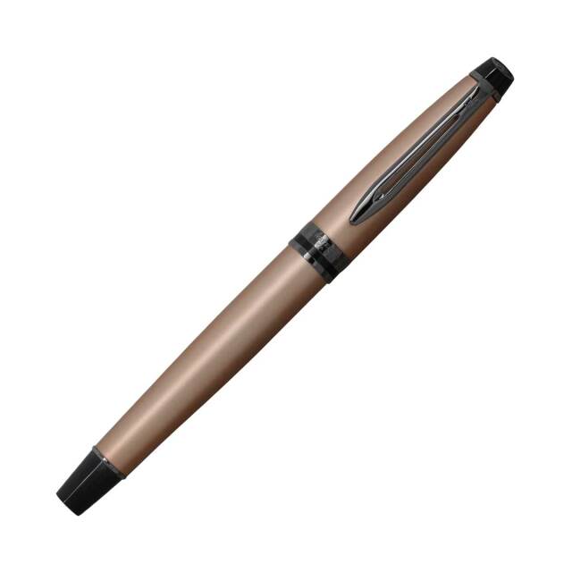 ウォーターマン（WATERMAN） 万年筆エキスパート メタリック