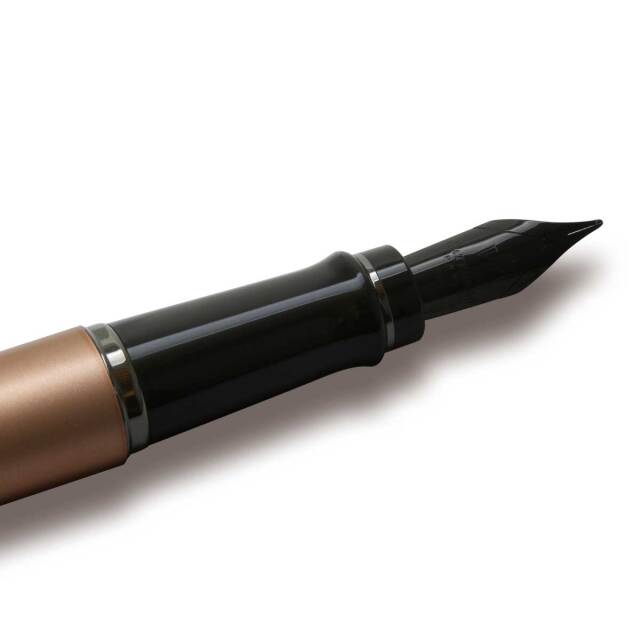 ウォーターマン（WATERMAN） 万年筆エキスパート メタリック