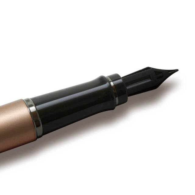 ウォーターマン（WATERMAN） 万年筆エキスパート メタリック