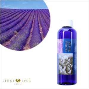 【生活の木】フローラルウォーター『ラベンダー(真正ラベンダー) 200mL』[12-805-2590]