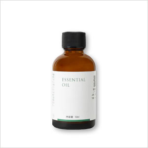 ■【生活の木】アロマオイル『ユーカリ・グロブルス 50mL』[08-475-3280]【受注生産】