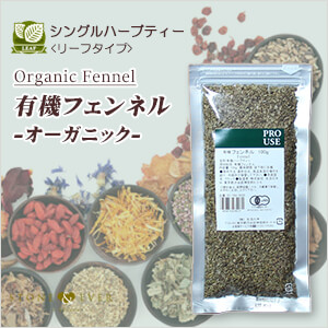 生活の木 ハーブティー シングルハーブティー リーフタイプ 有機フェンネル 100g 01 769 50 生活の木 ハーブティー シングルハーブティー リーフタイプ 有機フェンネル 100g 01 769 50