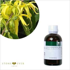 生活の木 アロマオイル イランイラン 50ml 08 434 3030 受注生産