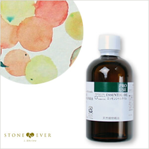 生活の木 ブレンド精油 30ml 3本セット ワンダリングシトラス アロマオイル エッセンシャルオイル ハーブ 生活の木 ブレンド精油 30ml 3本セット ワンダリングシトラス アロマ