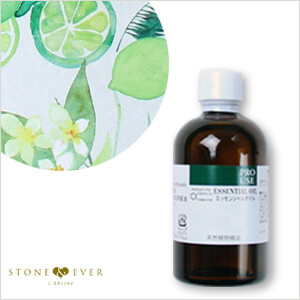 □【生活の木】ブレンドアロマオイル『ライミーバカンス 100mL』[08